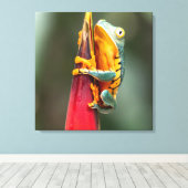 Tiger Legged Monkey Tree Frog Green Sinaasappel Canvas Afdruk (Insitu (Houten vloer))