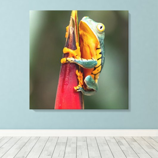 Tiger Legged Monkey Tree Frog Green Sinaasappel Canvas Afdruk (Insitu (Houten vloer))