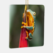 Tiger Legged Monkey Tree Frog Green Sinaasappel Keramisch Ornament (Rechts)