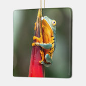 Tiger Legged Monkey Tree Frog Green Sinaasappel Keramisch Ornament (Links)