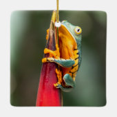 Tiger Legged Monkey Tree Frog Green Sinaasappel Keramisch Ornament (Achterkant)