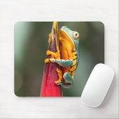 Tiger Legged Monkey Tree Frog Green Sinaasappel Muismat (Met muis)