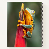 Tiger Legged Monkey Tree Frog Green Sinaasappel Notitieboek (Achterkant)