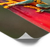 Tiger Legged Monkey Tree Frog Green Sinaasappel Poster (Hoek)