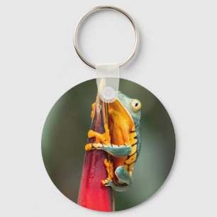 Tiger Legged Monkey Tree Frog Green Sinaasappel Sleutelhanger