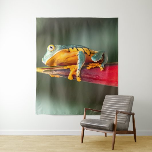 Tiger Legged Monkey Tree Frog Green Sinaasappel Wandkleed (In situ)