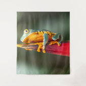 Tiger Legged Monkey Tree Frog Green Sinaasappel Wandkleed (Voorkant)