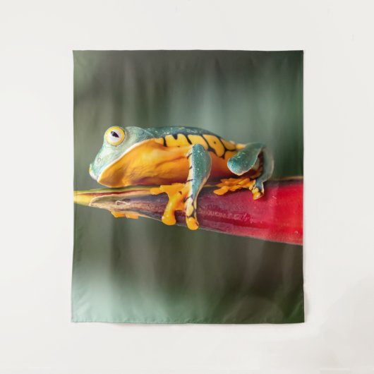 Tiger Legged Monkey Tree Frog Green Sinaasappel Wandkleed (Voorkant)