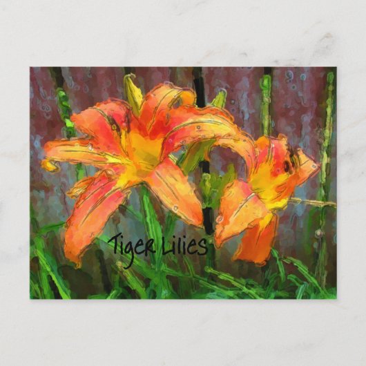 Tiger Lilies Briefkaart (Voorkant)