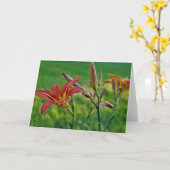 Tiger Lilies Kaart (Gele Bloem)