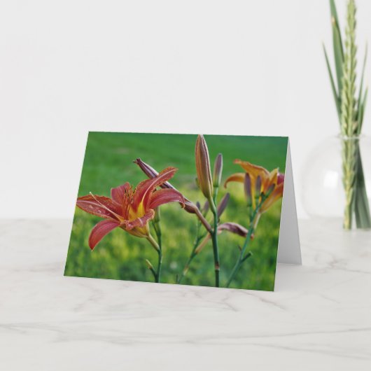 Tiger Lilies Kaart (Voorkant)