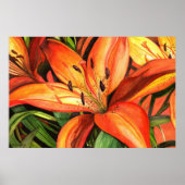 Tiger Lilies Poster (Voorkant)