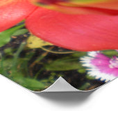 Tiger Lilies Poster (Hoek)