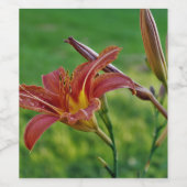 Tiger Lilies Wijn Etiket (Enkel label)