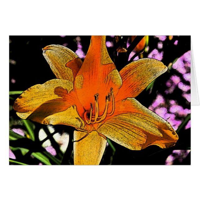 Tiger Lilly 2 (Voorkant Horizontaal)
