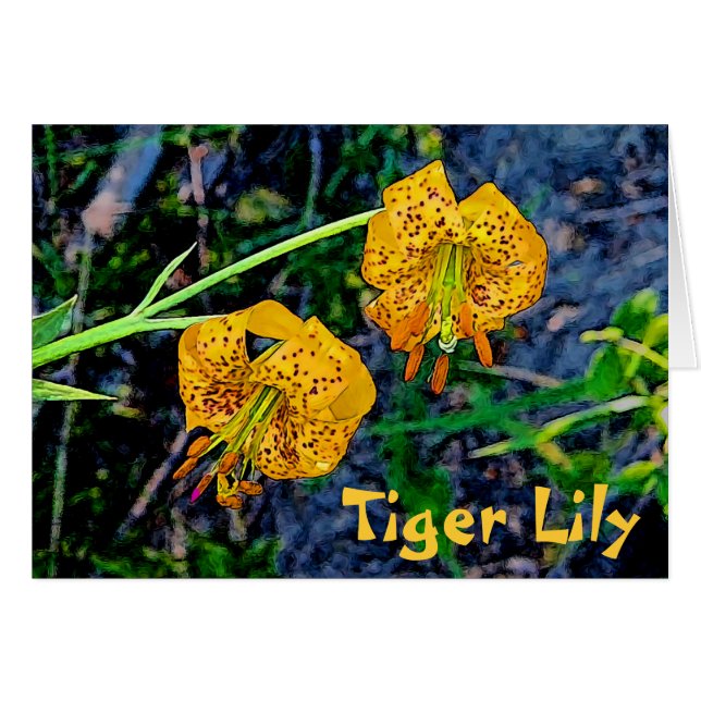Tiger Lily (Voorkant Horizontaal)