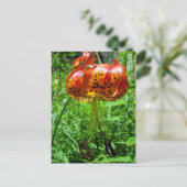 Tiger Lily 01 Briefkaart (Staand voorkant)
