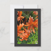 Tiger Lily Bedankkaart (Voorkant)