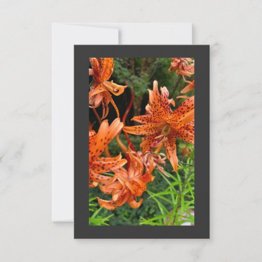 Tiger Lily Bedankkaart (Voorkant)