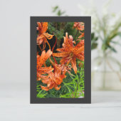 Tiger Lily Bedankkaart (Staand voorkant)