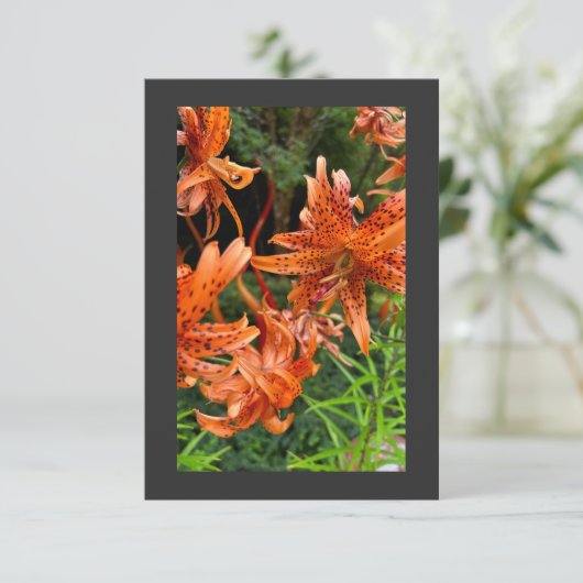 Tiger Lily Bedankkaart (Staand voorkant)