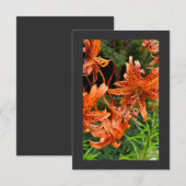 Tiger Lily Bedankkaart (Voorkant / Achterkant)