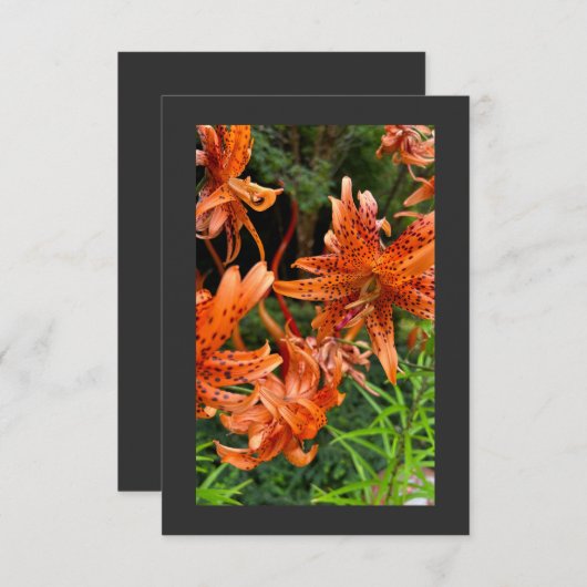 Tiger Lily Bedankkaart (Voorkant / Achterkant)