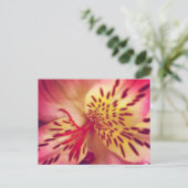 Tiger Lily Briefkaart (Staand voorkant)