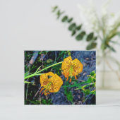 Tiger Lily Briefkaart (Staand voorkant)