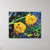 Tiger Lily Canvas Afdruk (Voorkant)