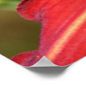 Tiger Lily en Friend Poster (Hoek)