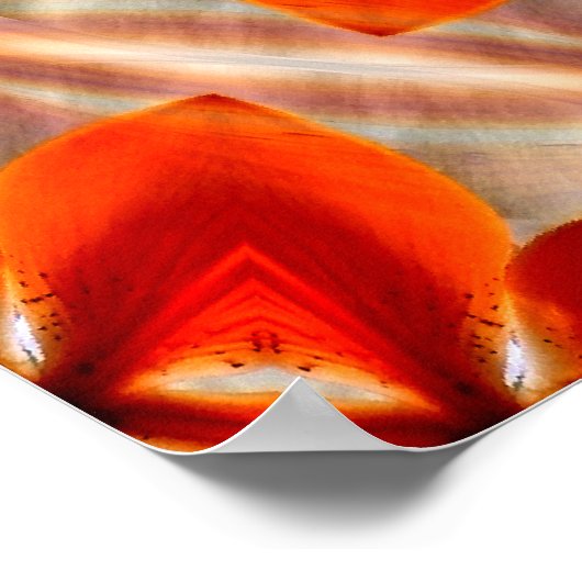 Tiger Lily Fun..... Poster (Hoek)