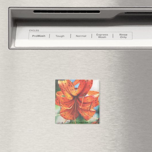 Tiger Lily Magneet (Insitu (Vaatwasser))