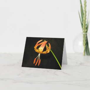 Tiger Lily Note Kaart