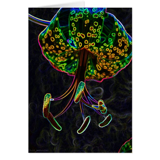 Tiger Lily Photoshop (Voorkant)