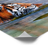 Tiger Lily Poster (Hoek)