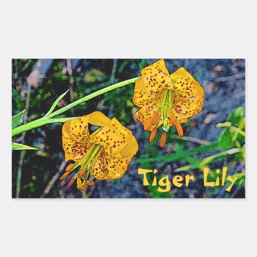 Tiger Lily Rechthoekige Sticker (Voorkant)