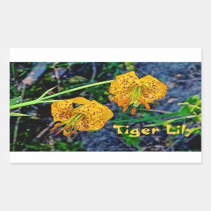 Tiger Lily Rechthoekige Sticker