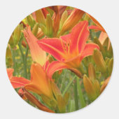 Tiger Lily Ronde Sticker (Voorkant)