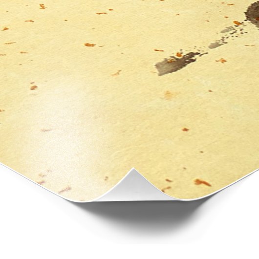 Tiger Lily - rood Foto Afdruk (Hoek)