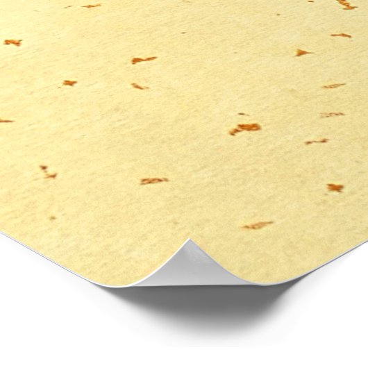 Tiger Lily - rood Poster (Hoek)