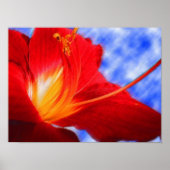 Tiger Lily "tekening" Poster (Voorkant)