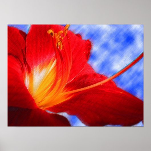 Tiger Lily "tekening" Poster (Voorkant)