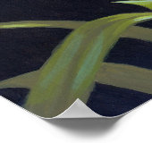 Tiger Lily, Tiger Nautilus ART PRINT big eye fairy (Hoek)