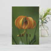 Tiger Lily - Vlak Wenskaart Kaart (Staand voorkant)