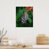 Tiger Longwing Art Print -20x24 - ook andere forma (Keuken)