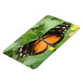 Tiger Longwing Butterfly Flexi Magnet Magneet (Linkerzijde)