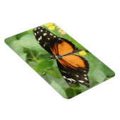 Tiger Longwing Butterfly Flexi Magnet Magneet (Rechterzijde)
