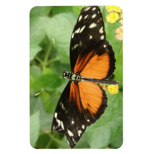 Tiger Longwing Butterfly Flexi Magnet Magneet (Verticaal)