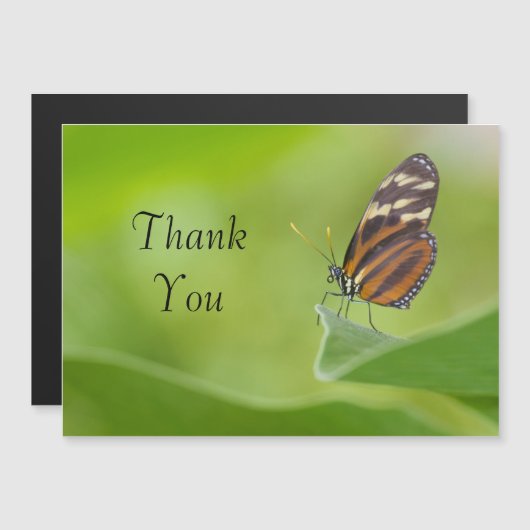 Tiger Longwing Butterfly Hartelijk dank (Voorkant / Achterkant)